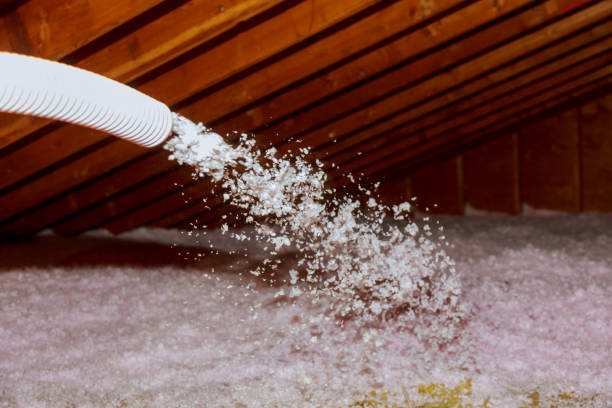 Best Insulation Inspection Services  in Josephine, TX