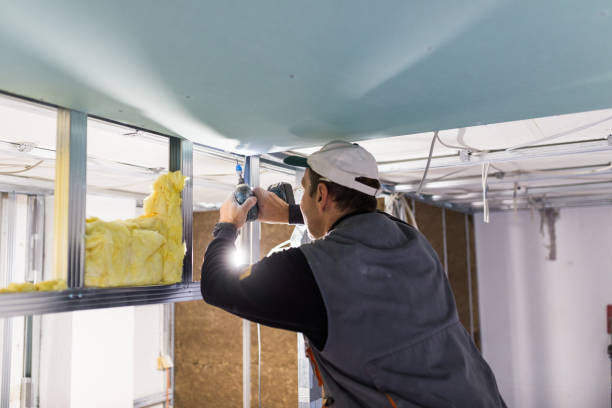 Best Garage Insulation Installation  in Josephine, TX