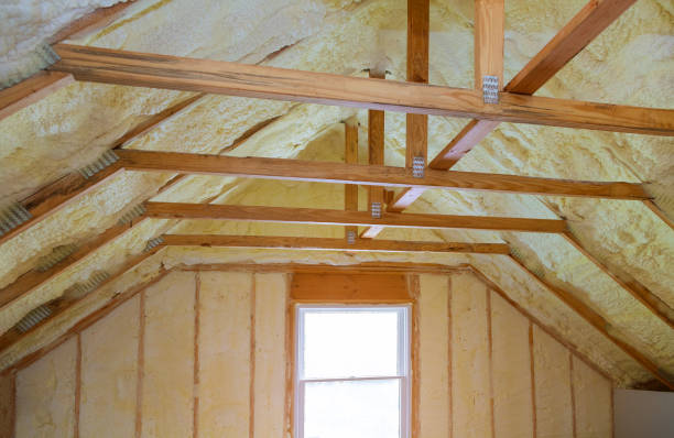 Best Spray Foam Insulation  in Josephine, TX