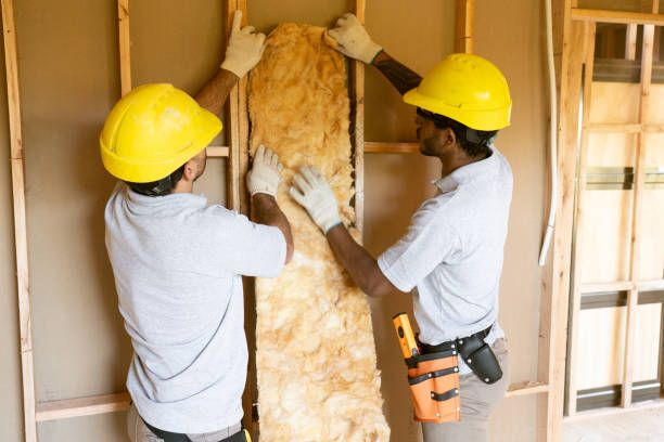 Best Insulation Contractor Near Me  in Josephine, TX