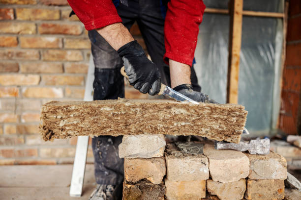 Best Blown-in Insulation  in Josephine, TX