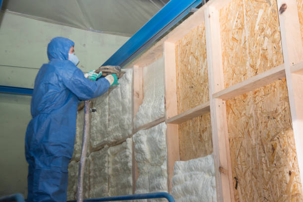 Best Attic Insulation Installation  in Josephine, TX